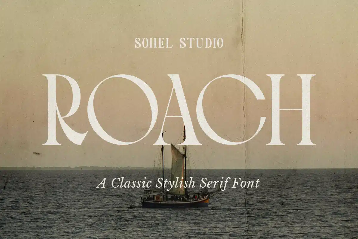 Roach – Modern Elegant Classic Stylish Serif Font font preview