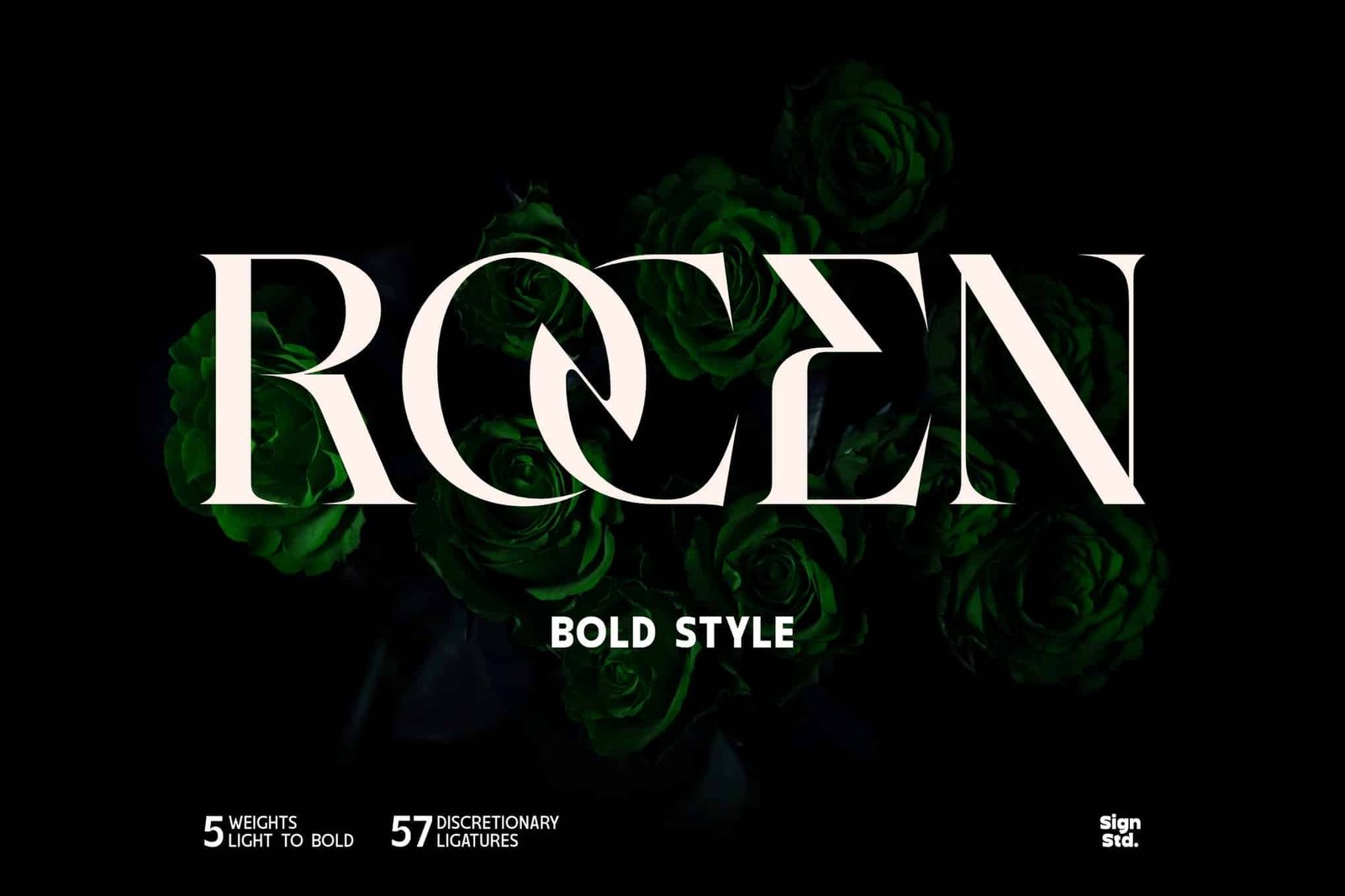 Rocen – Bold Style Font font preview