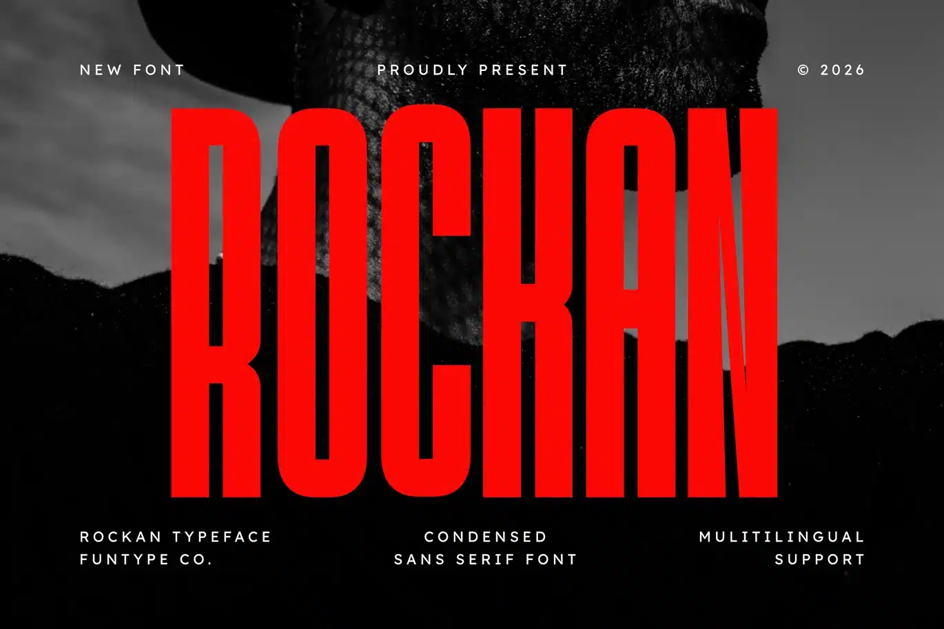 Rockan – Bold Condensed Sans Serif Font font preview