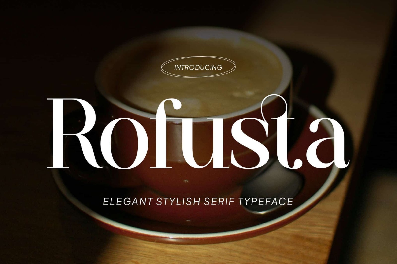 Rofusta – Elegant Stylish Serif Font font preview