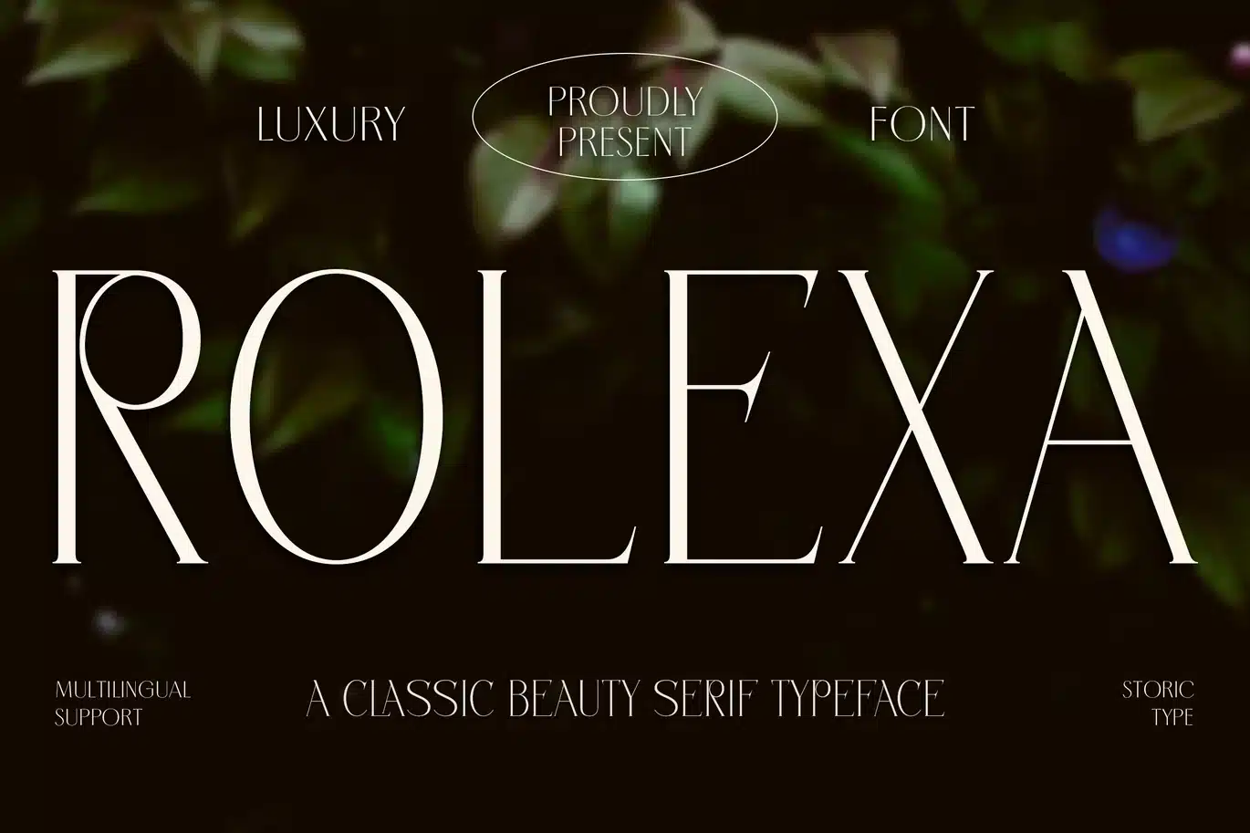 Rolexa- a Classic Beauty Serif Font font preview
