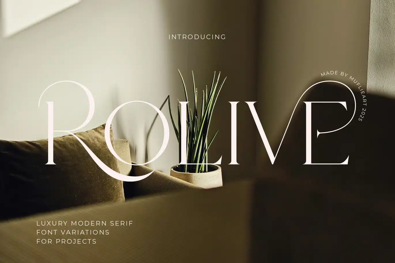 Rolive – Luxury Modern Serif Font font preview