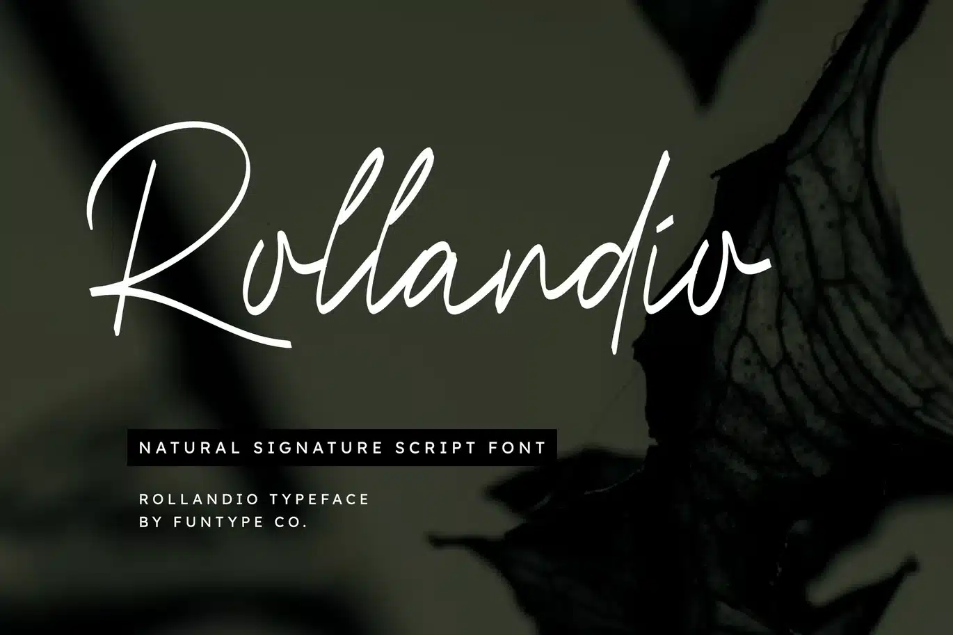 Rollandio – Natural Signature Script Font font preview