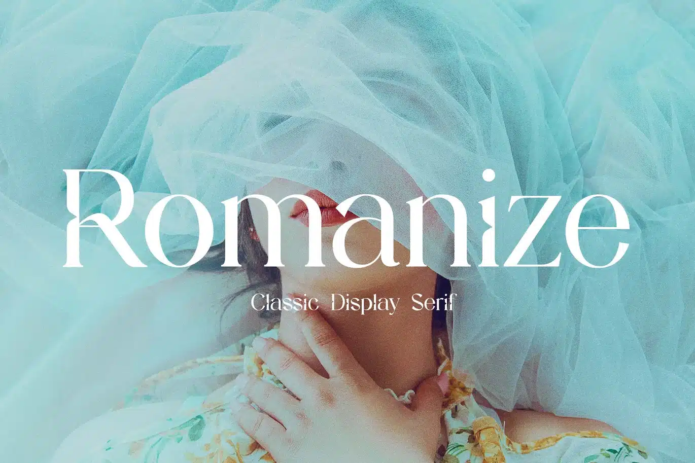 Romanize Classic Display Serif Font font preview