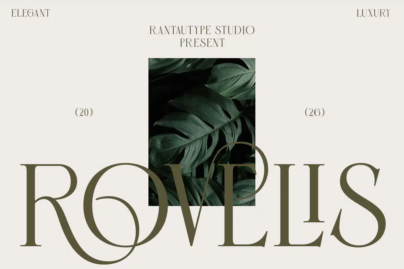 Rovelis Elegant Serif Font font preview