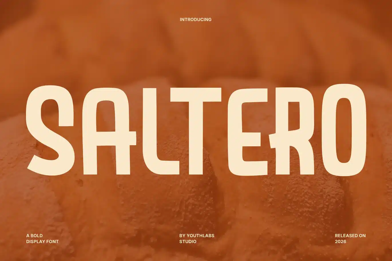 Saltero – Bold Display Font font preview