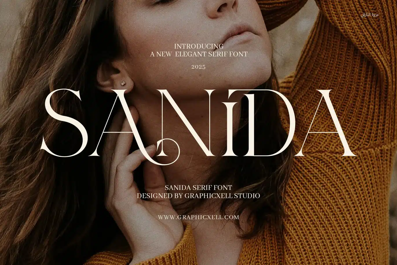 Sanida Elegant Serif Font font preview