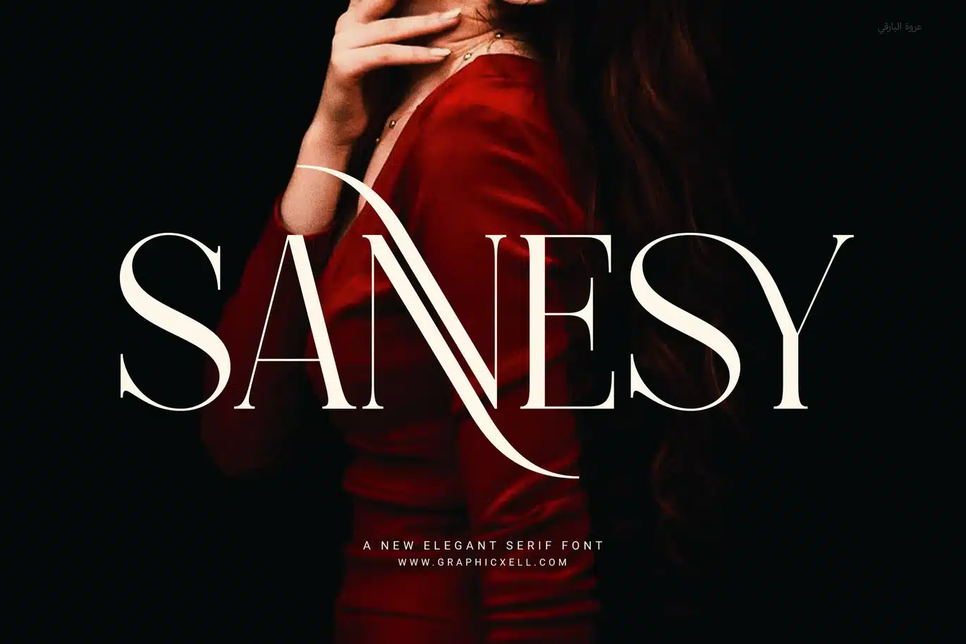 Sannesy Elegant Serif Font – Stylish & Clean font preview