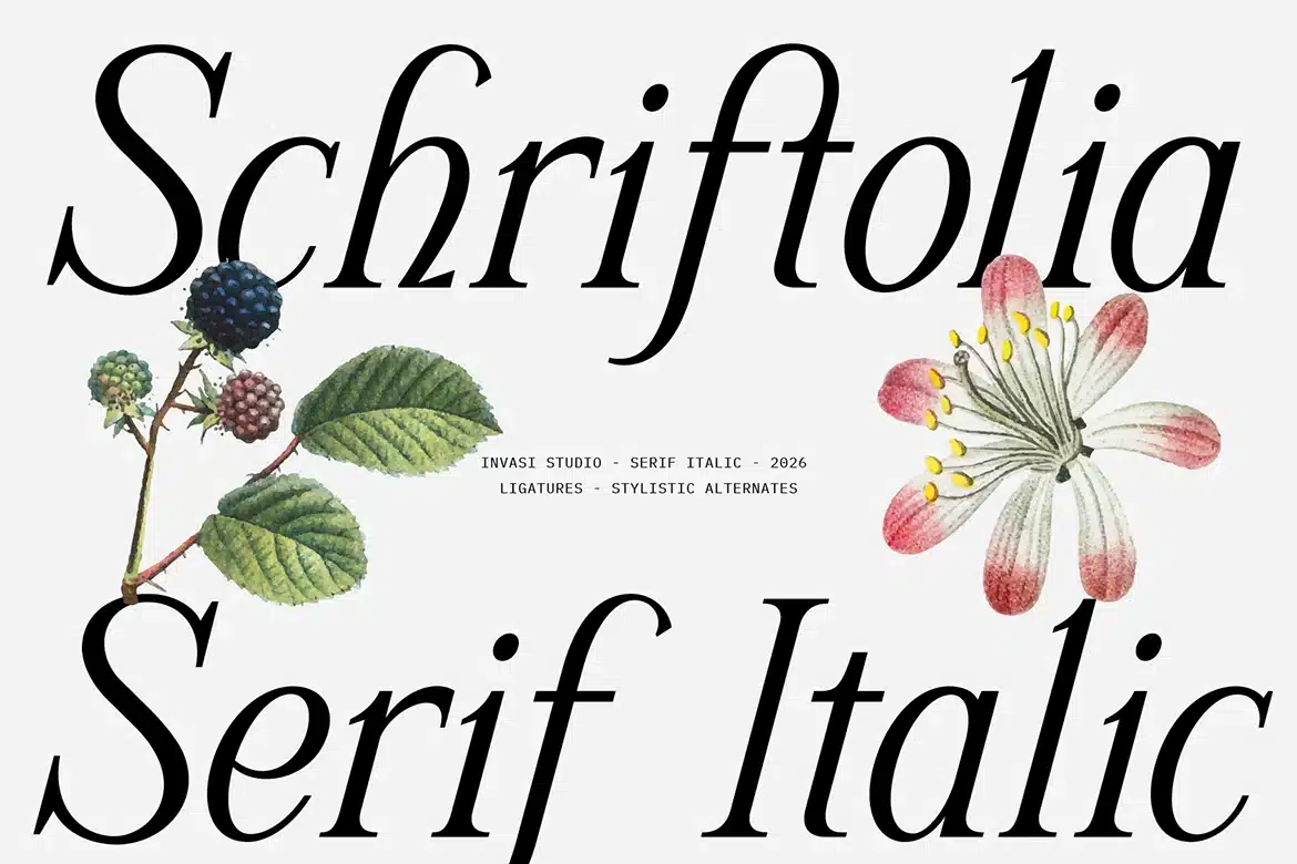 Schriftolia — Elegant Serif Italic Font font preview