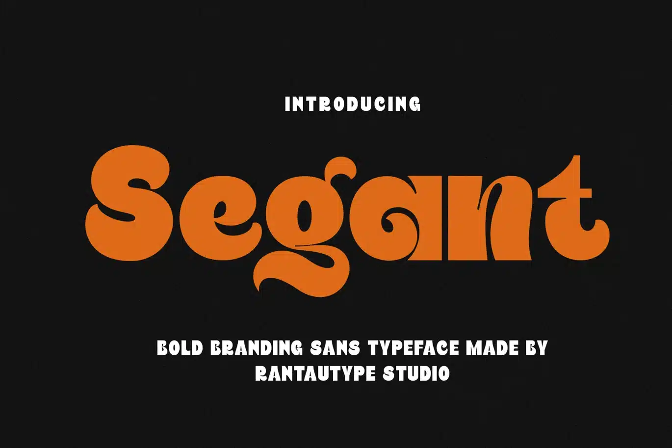 Segant Bold Branding Sans Font font preview