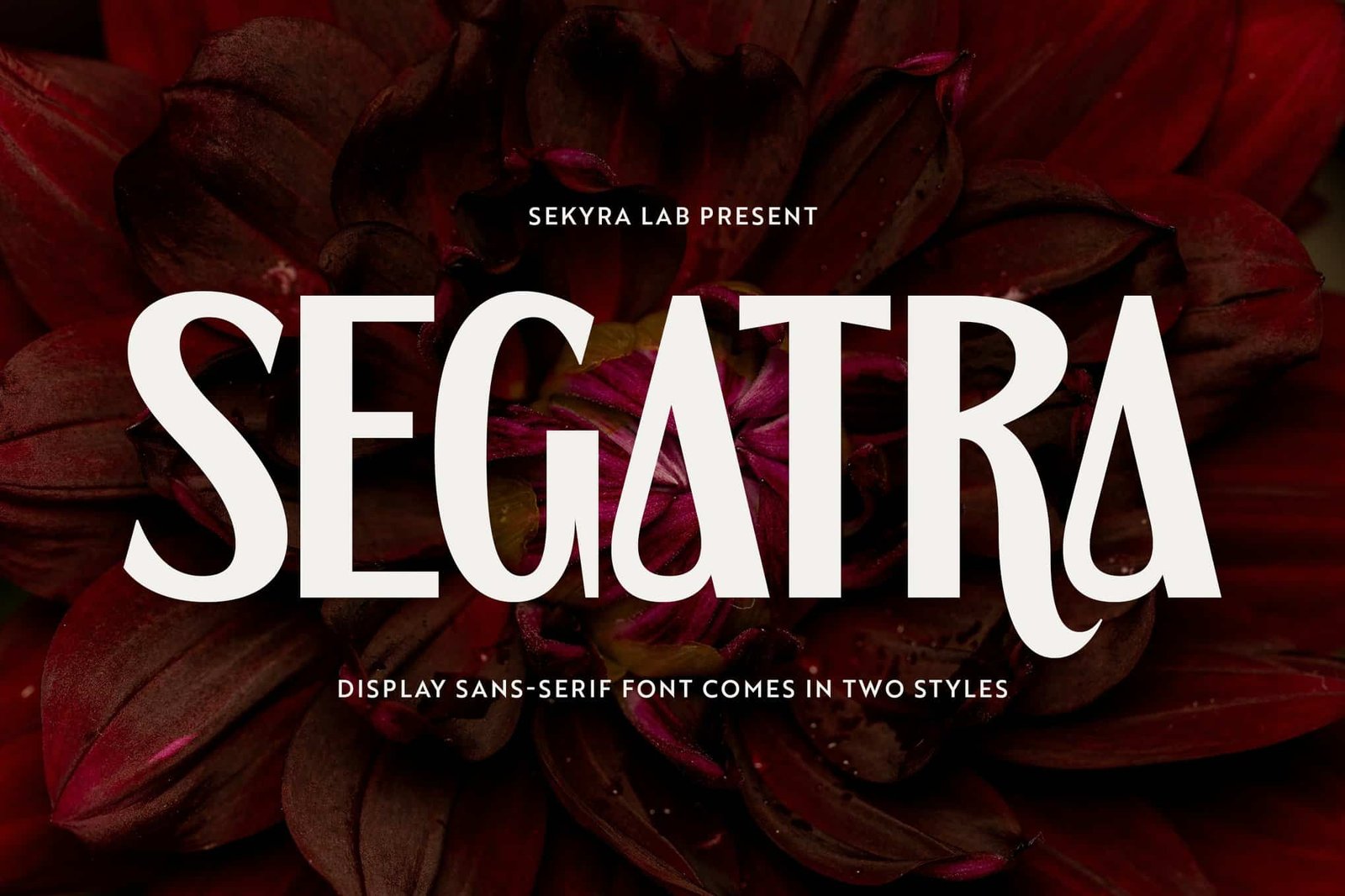Segatra Display Font font preview
