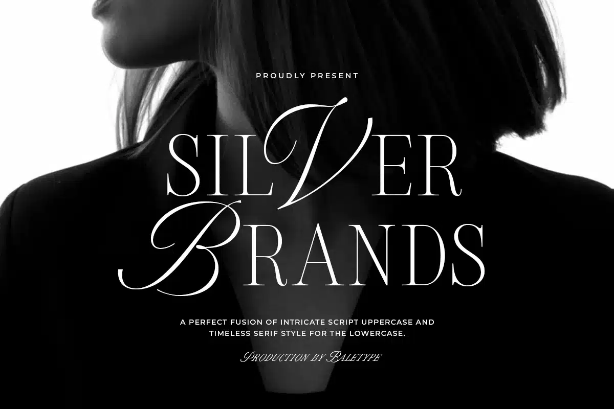 Silver Brands – Elegant Mixed Serif Font font preview