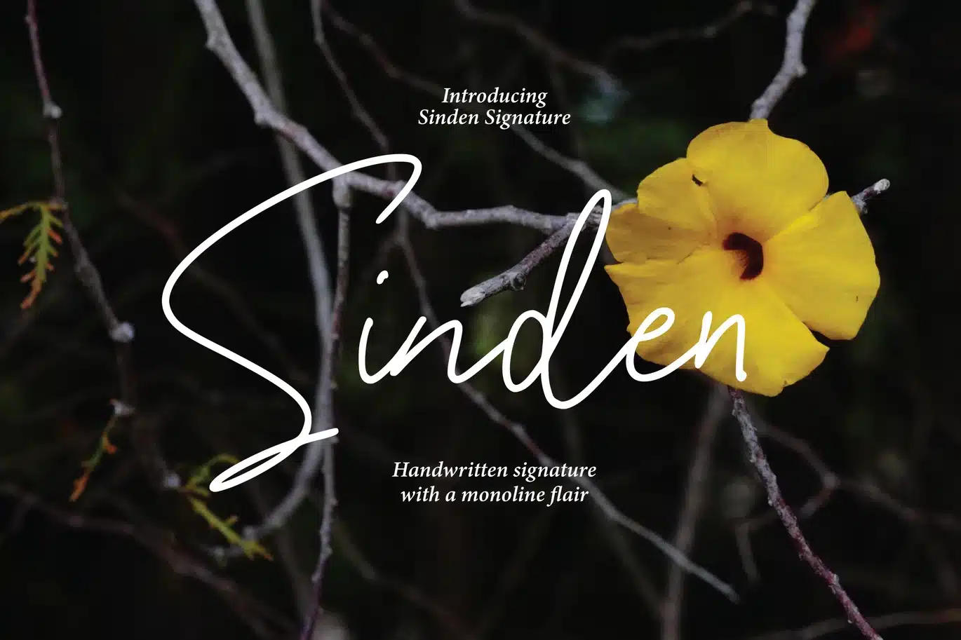 Sinden – Casual Handwritten Font font preview