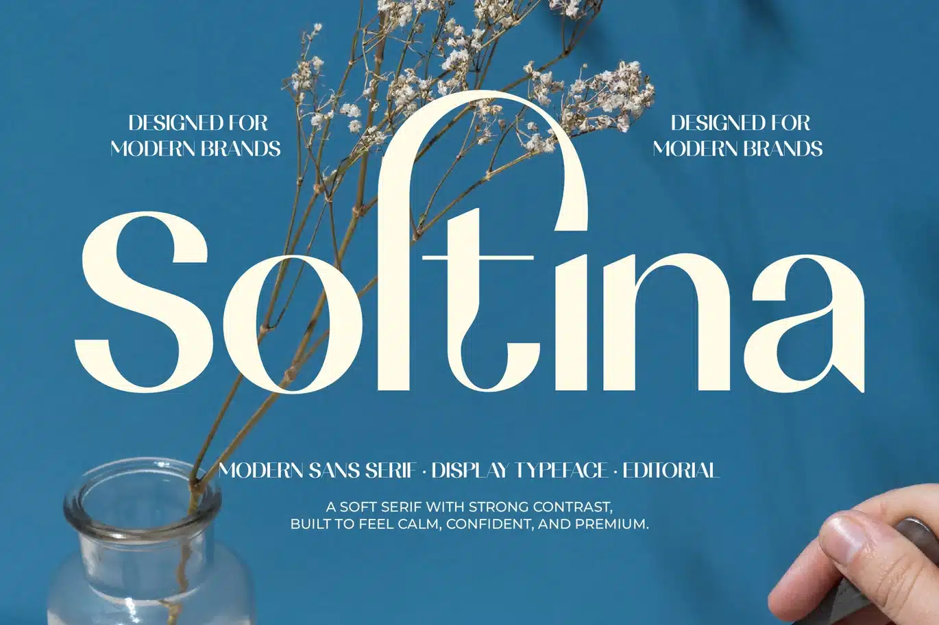 Soltina Sans Serif Display Font font preview