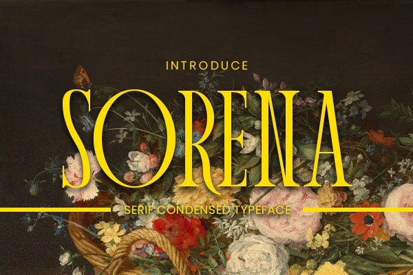 Sorena Font Family font preview