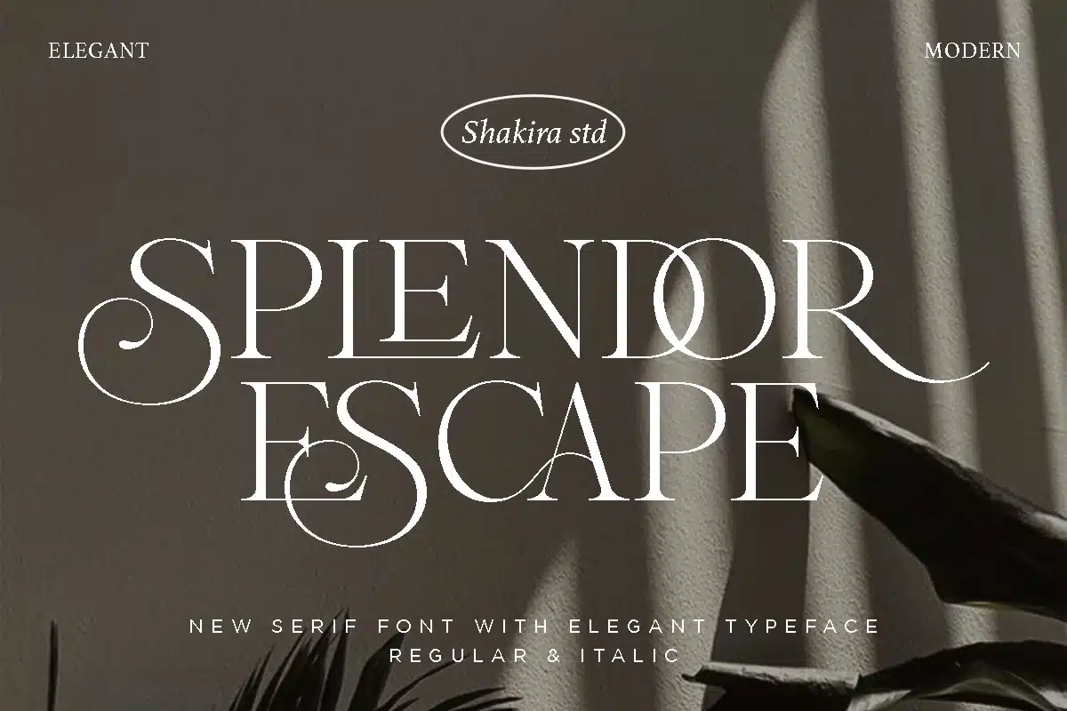 Splendor Escape – Elegant Modern Logo Font font preview