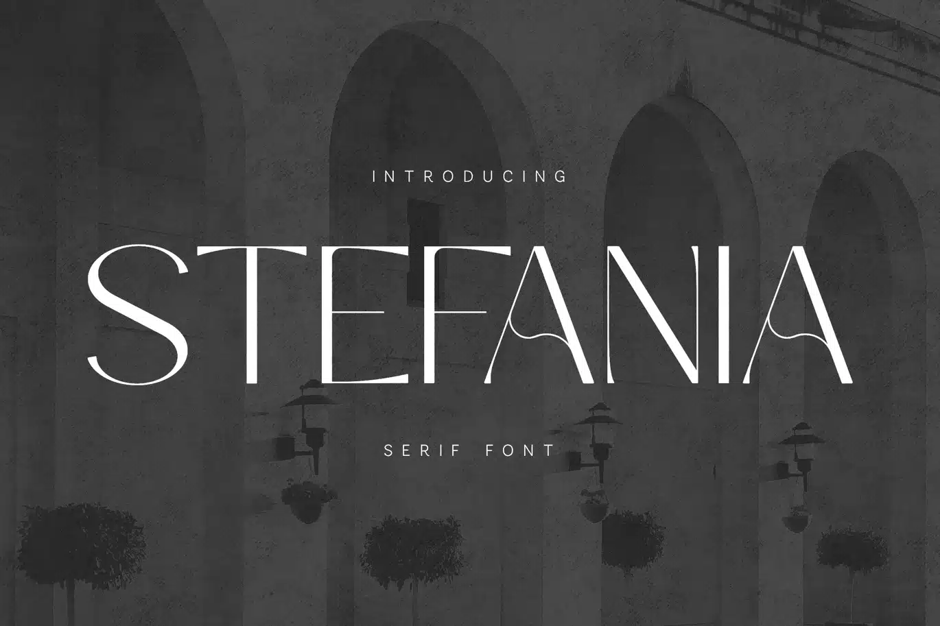 Stefania – Elegant Modern Serif Font font preview
