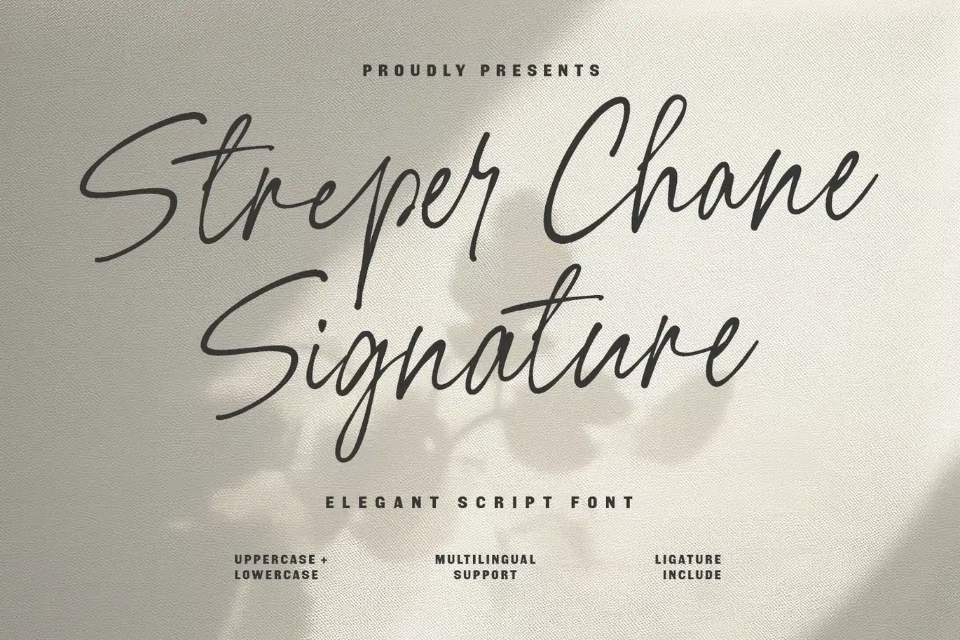 Streper Chane Signature Script Font font preview