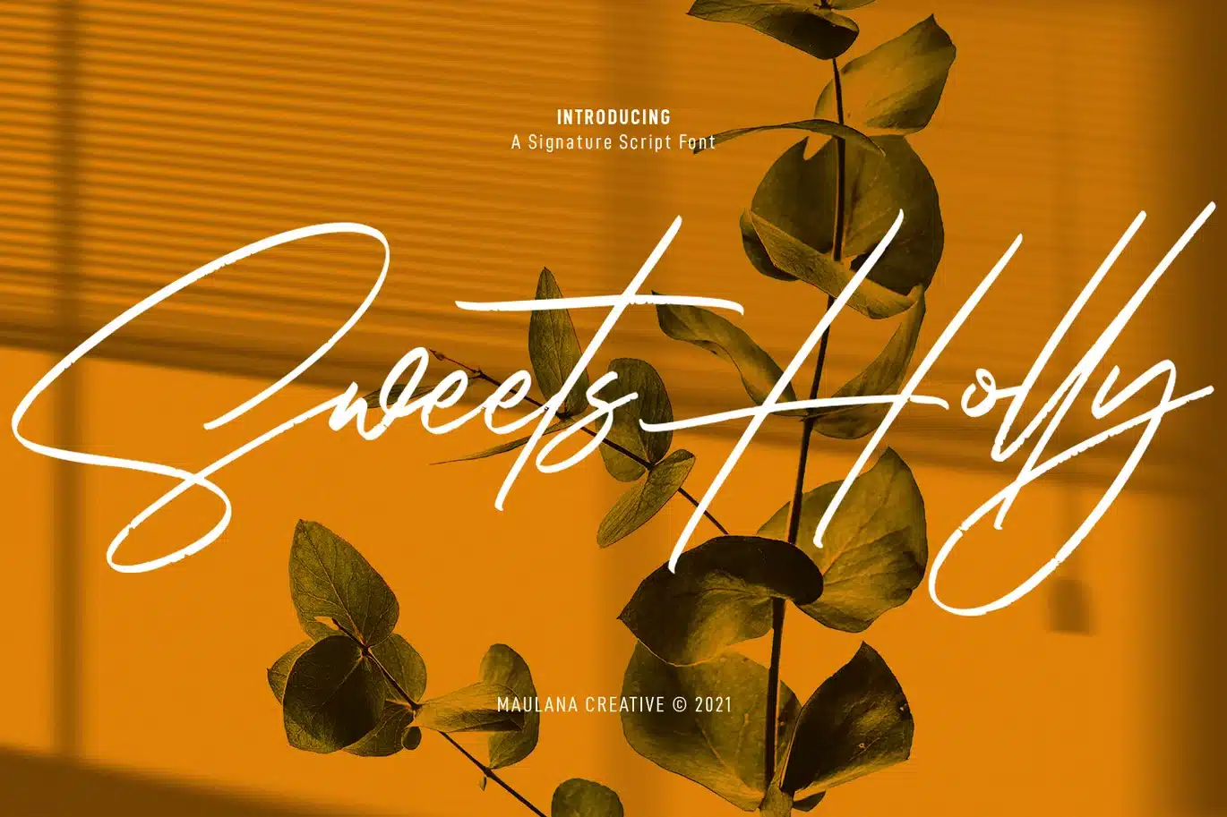 Sweets Holly Signature Script Font font preview