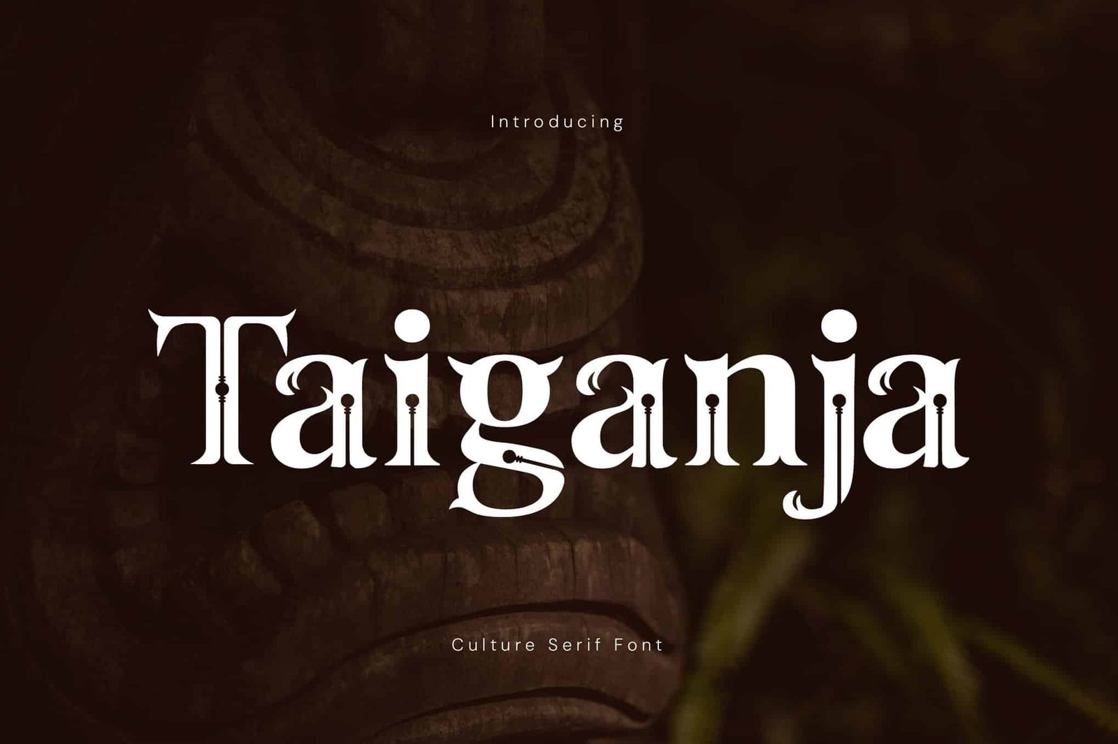Taiganja – Culture Serif Font font preview