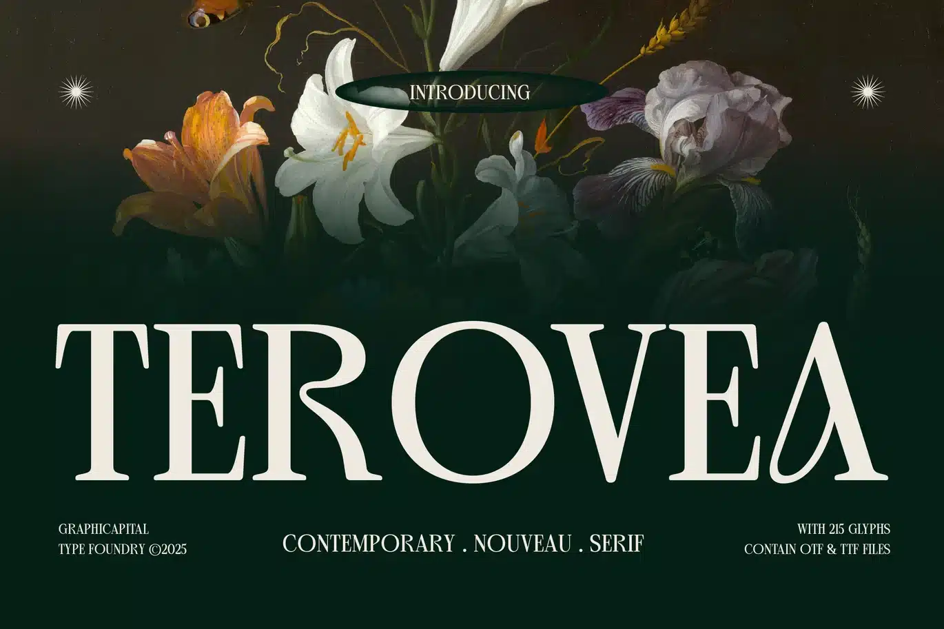 Terovea Font font preview