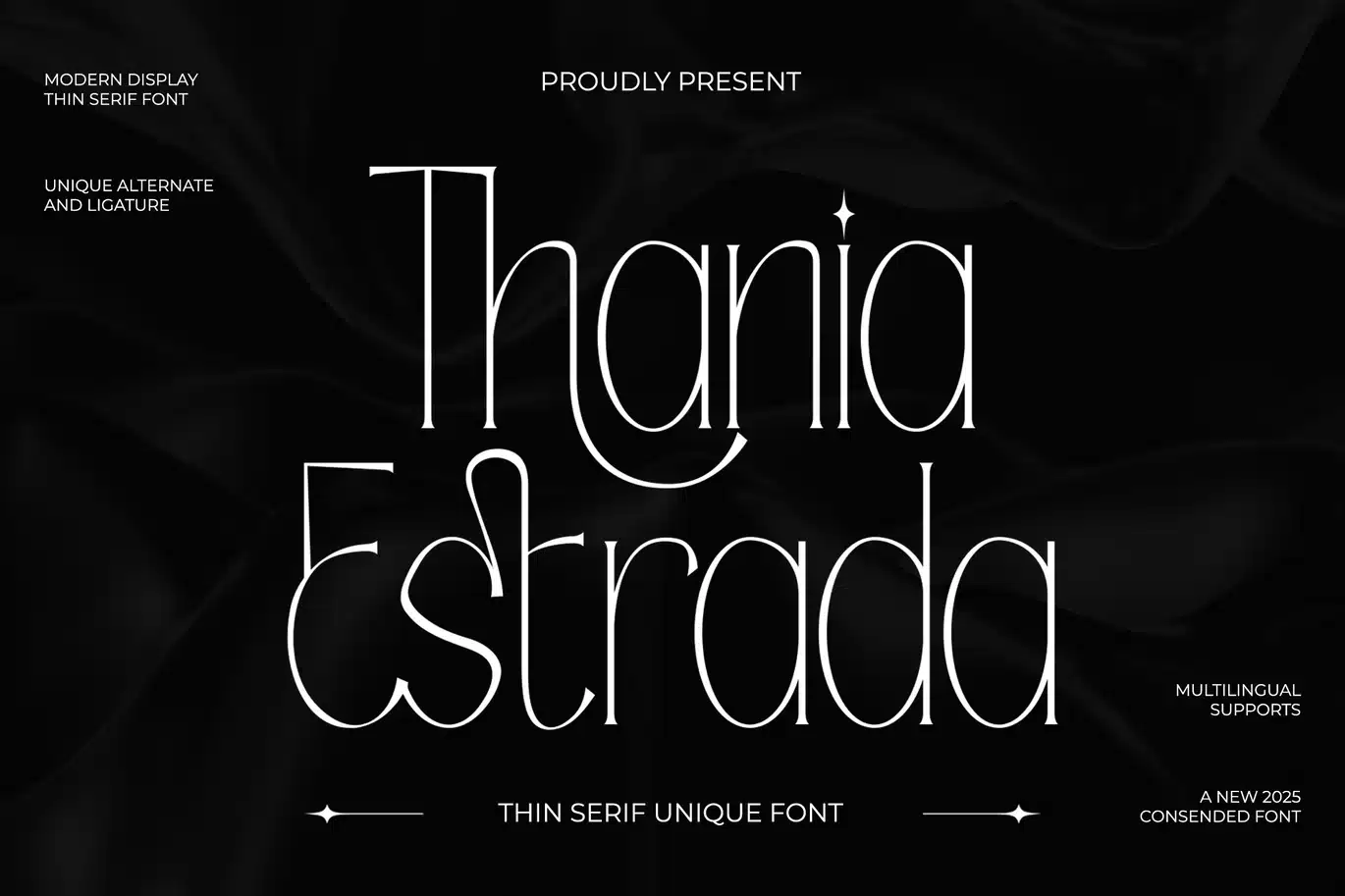 Thania Estrada – Thin Unique Serif Font font preview