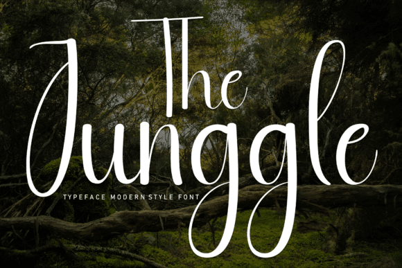 The Junggle Font Font font preview