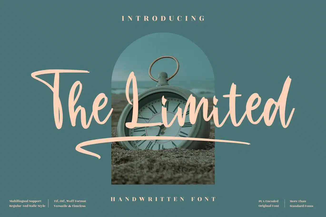 The Limited Handwritten Font font preview
