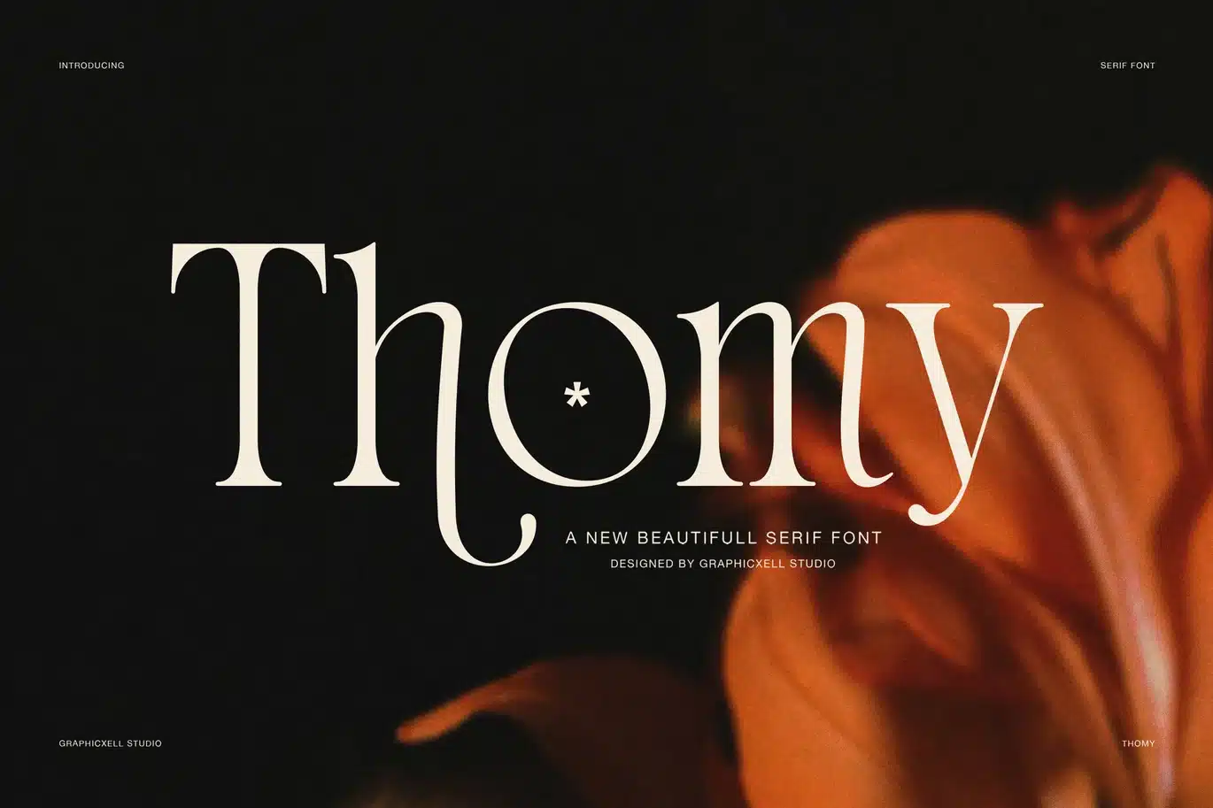 Thomy Elegant Serif Font font preview