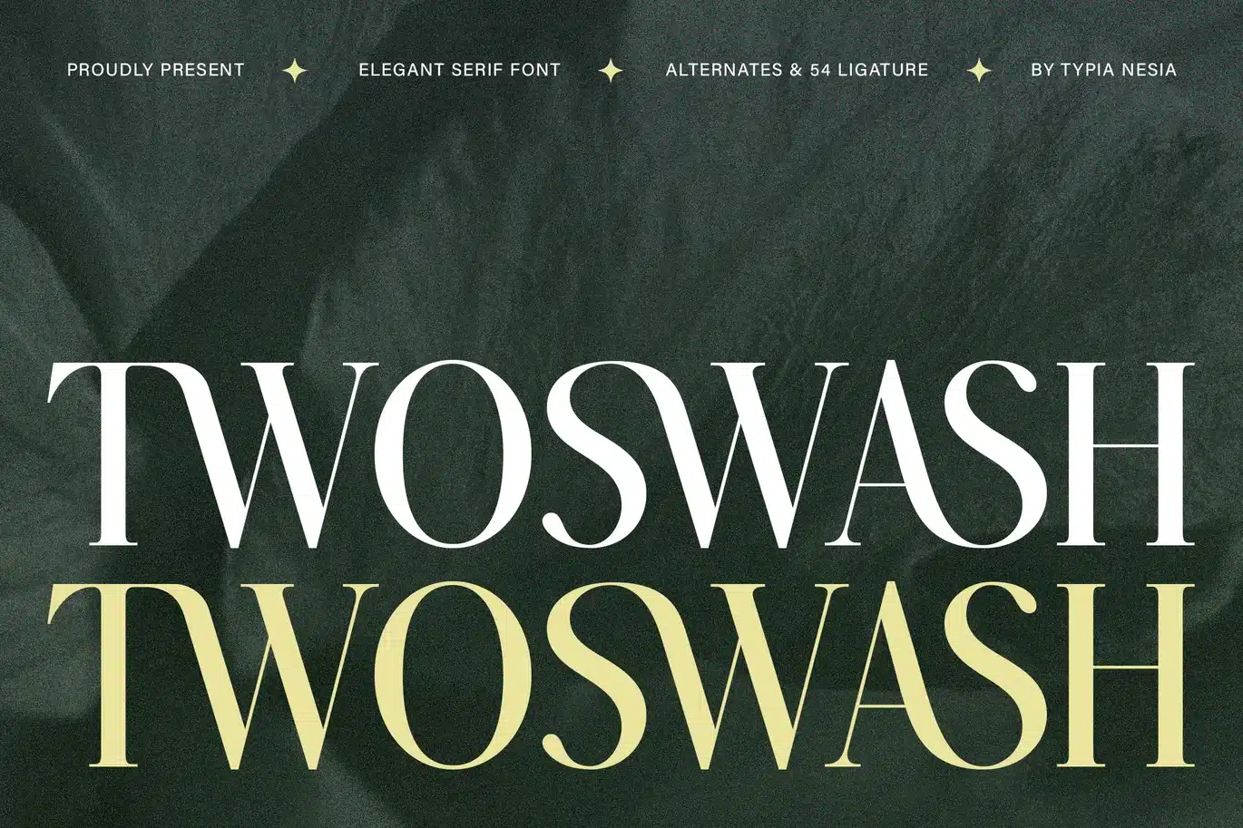 Twoswash – Beauty Elegant Ligature Serif Font font preview