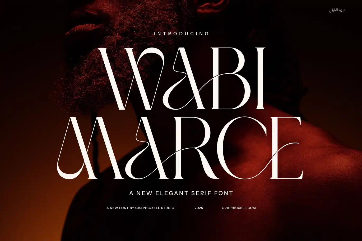 Wabi Marce Elegant Serif Font font preview