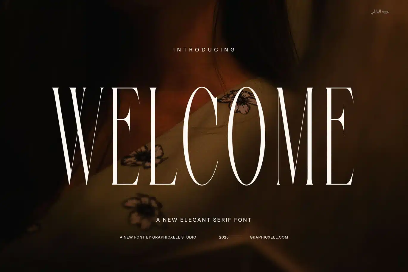 Welcome Elegant Serif Fonts font preview