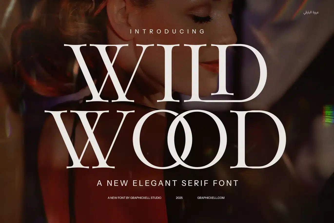 Wild Wood Minimal Serif Font Typeface font preview