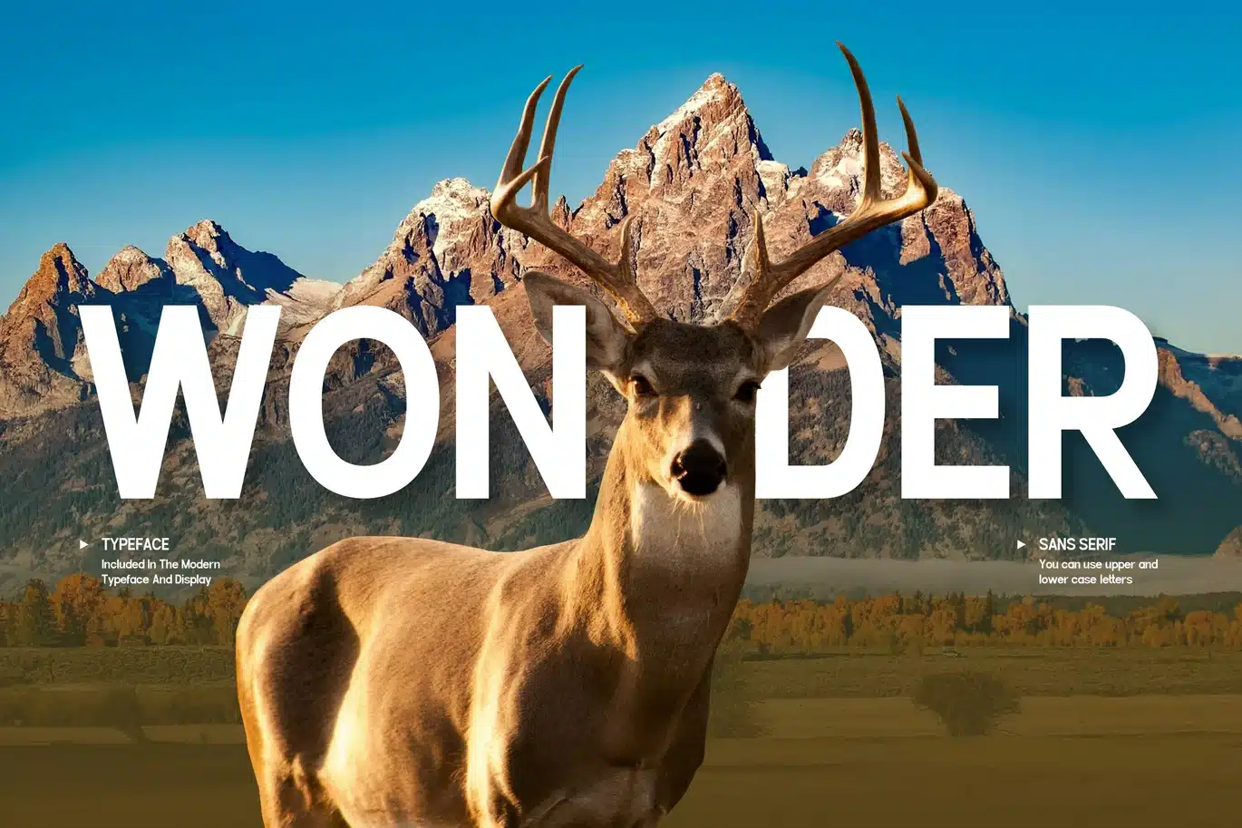 Wonder – Modern Sans Font font preview