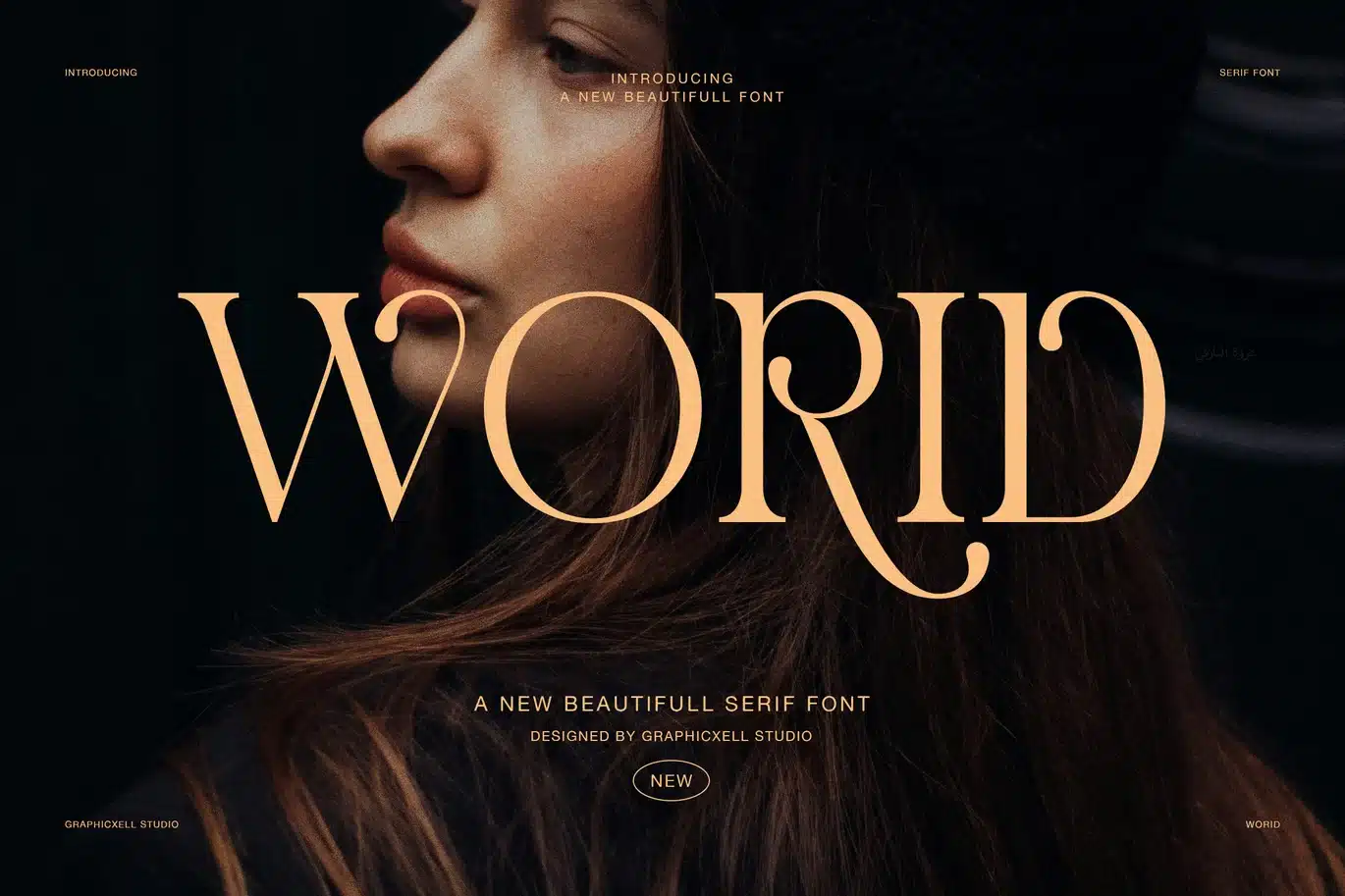 Worid Elegant Luxury Serif Font font preview