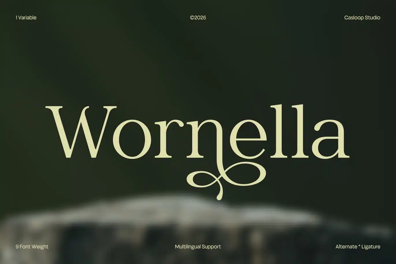 Wornella – Modern Classy Serif Font font preview