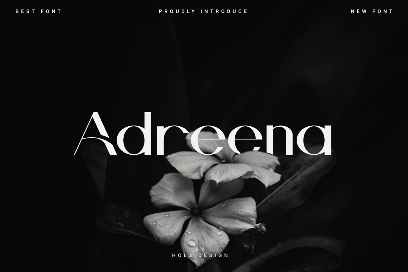 Adreena Font font preview