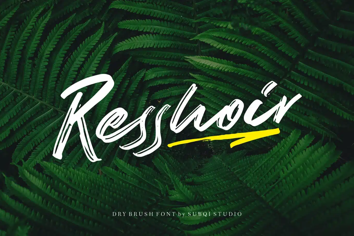 AMR Resshoir Font font preview