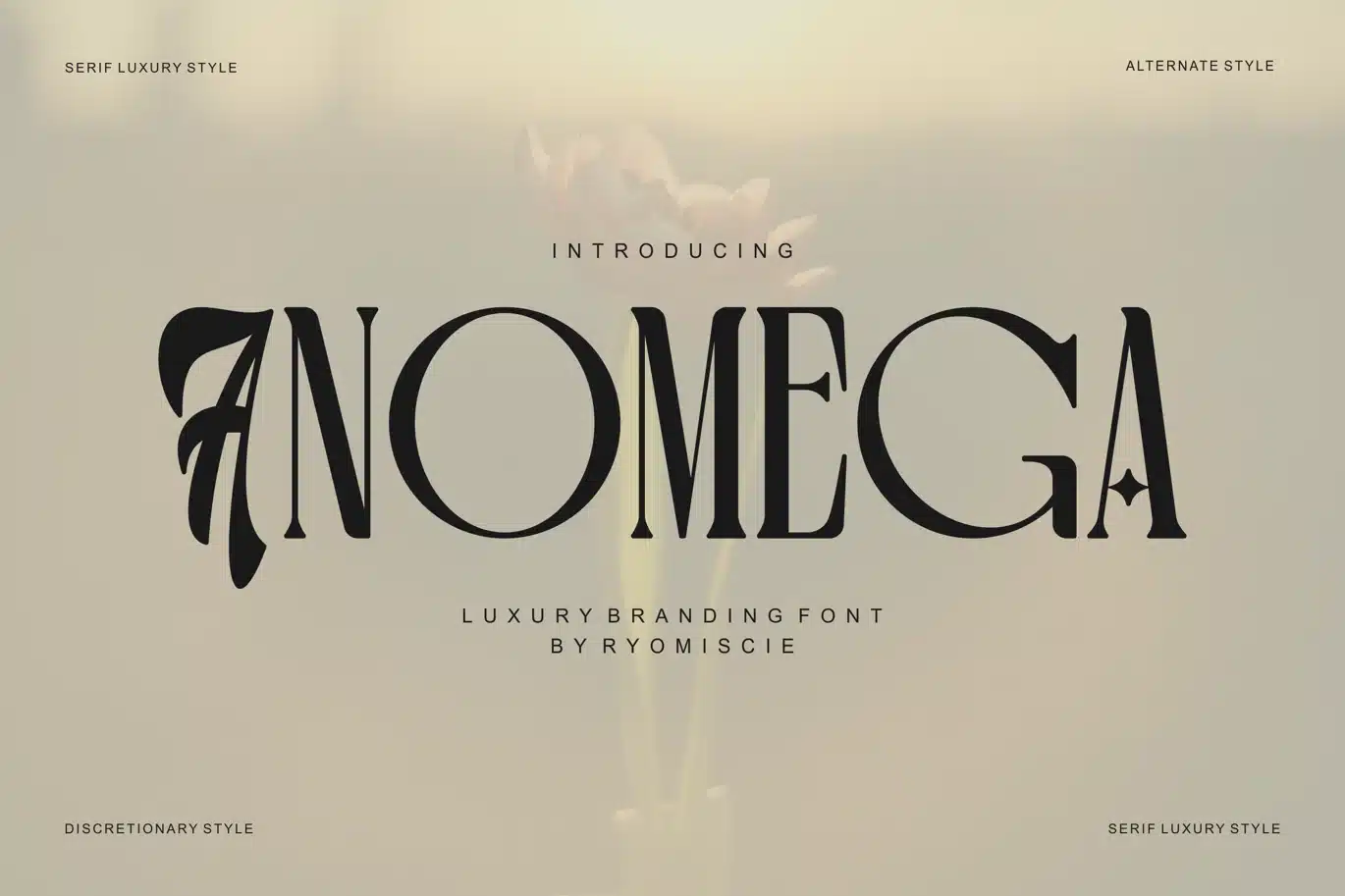 Anomega Serif Branding Font font preview