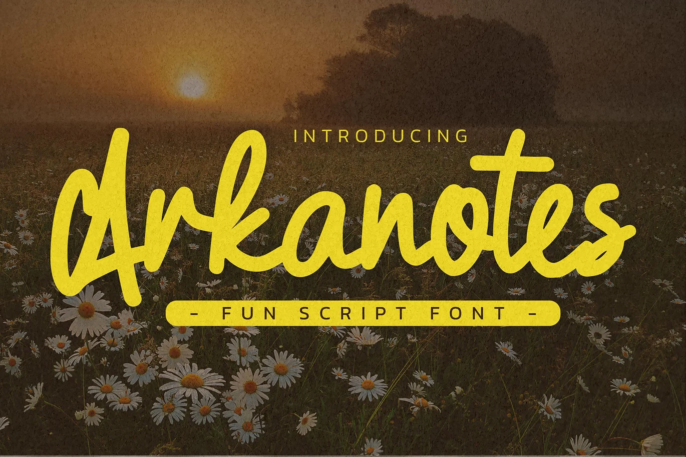 Arkanotes – Fun Script Font font preview