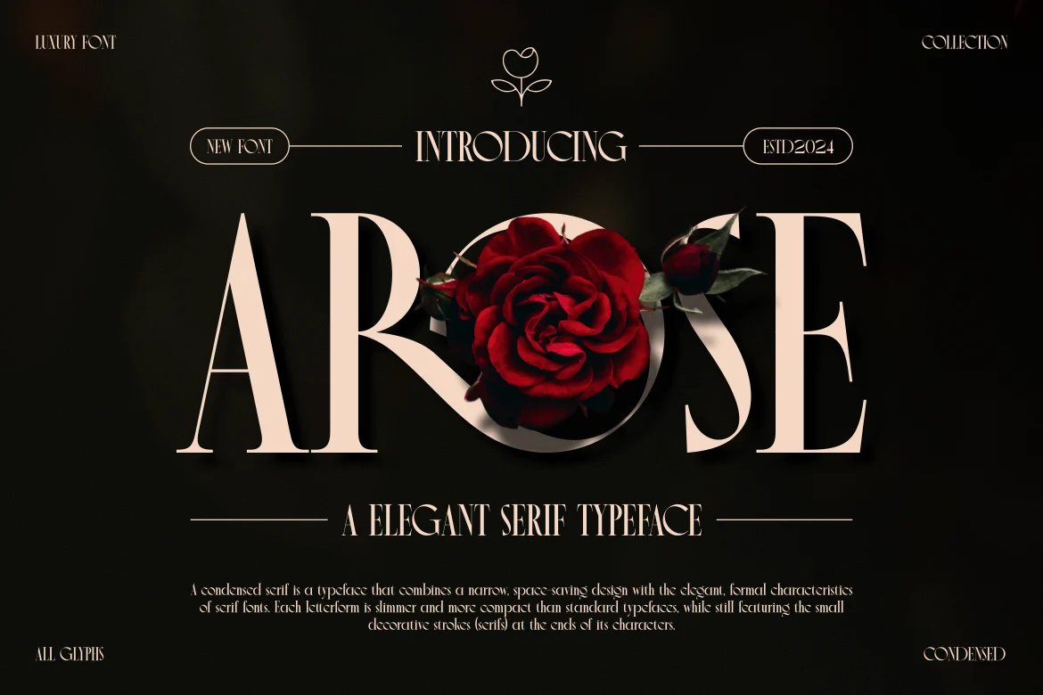 Arose – Elegant Serif Typeface Font font preview