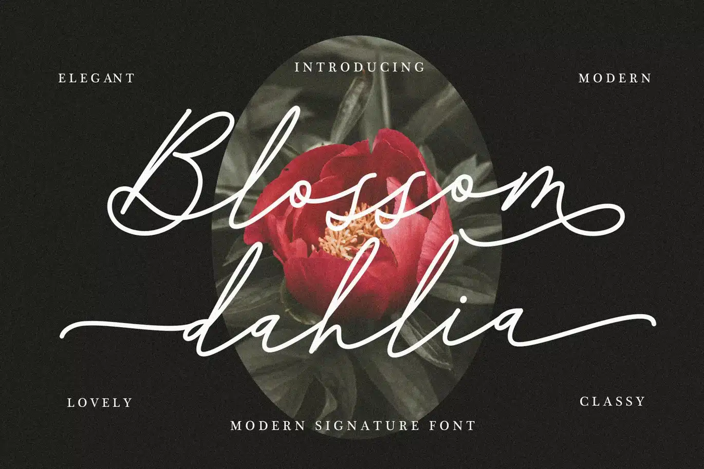 Blossom Dahlia Signature Font font preview