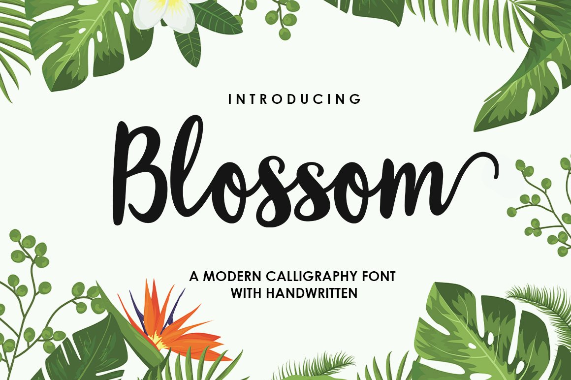 Blossom Script Font  Font font preview