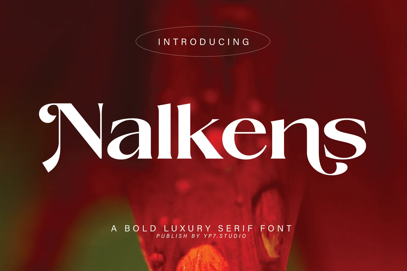 Bold Luxury Serif – Nalkens Font font preview