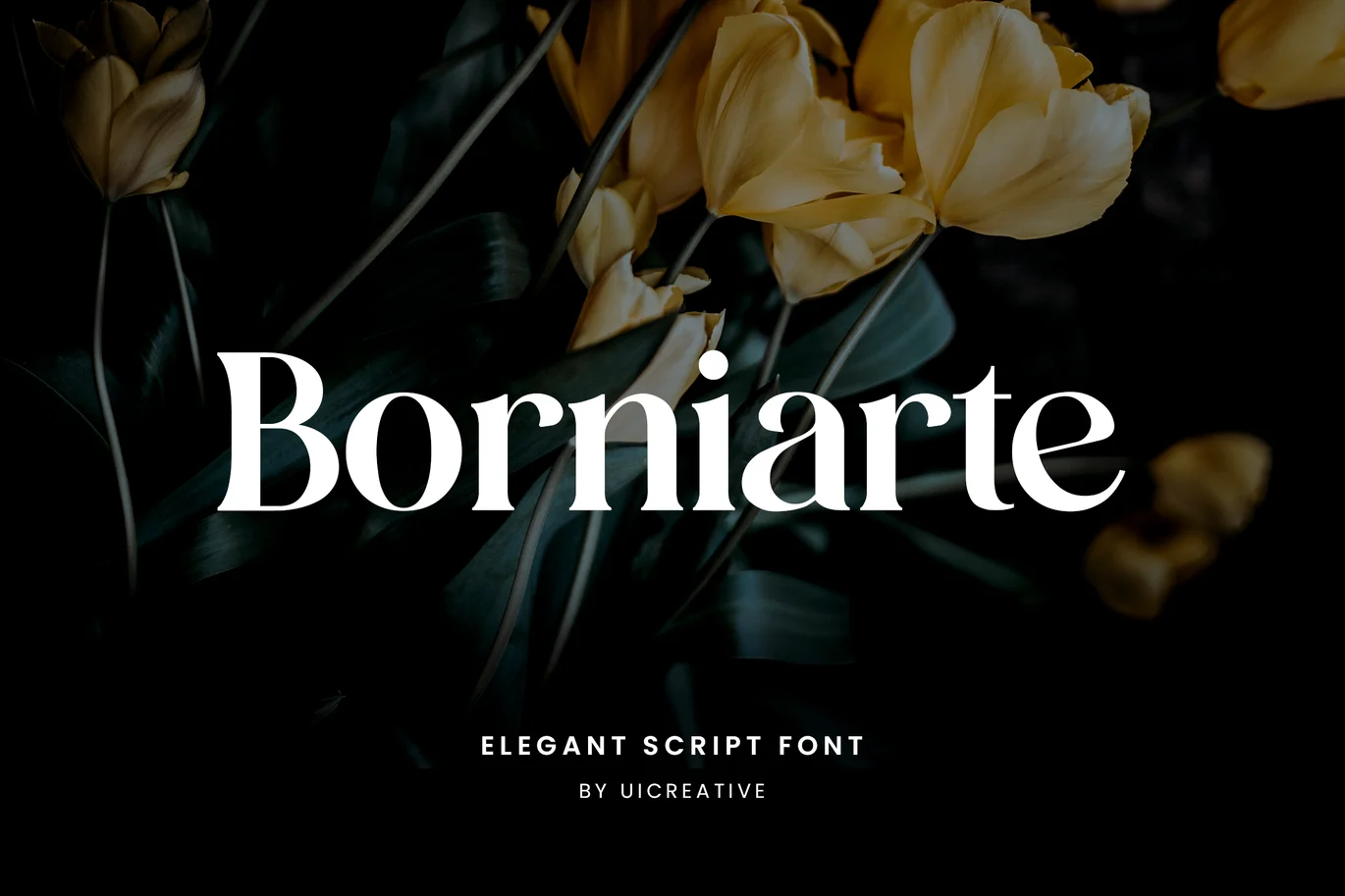Borniarte Elegant Serif Font font preview