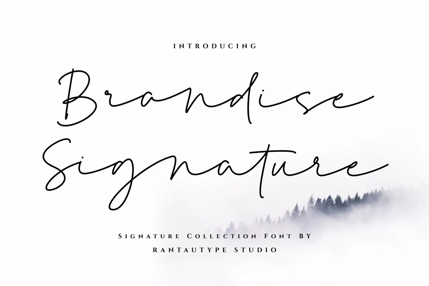 Brandise Signature Font font preview