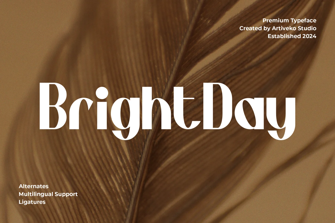 BrightDay Elegant Font font preview