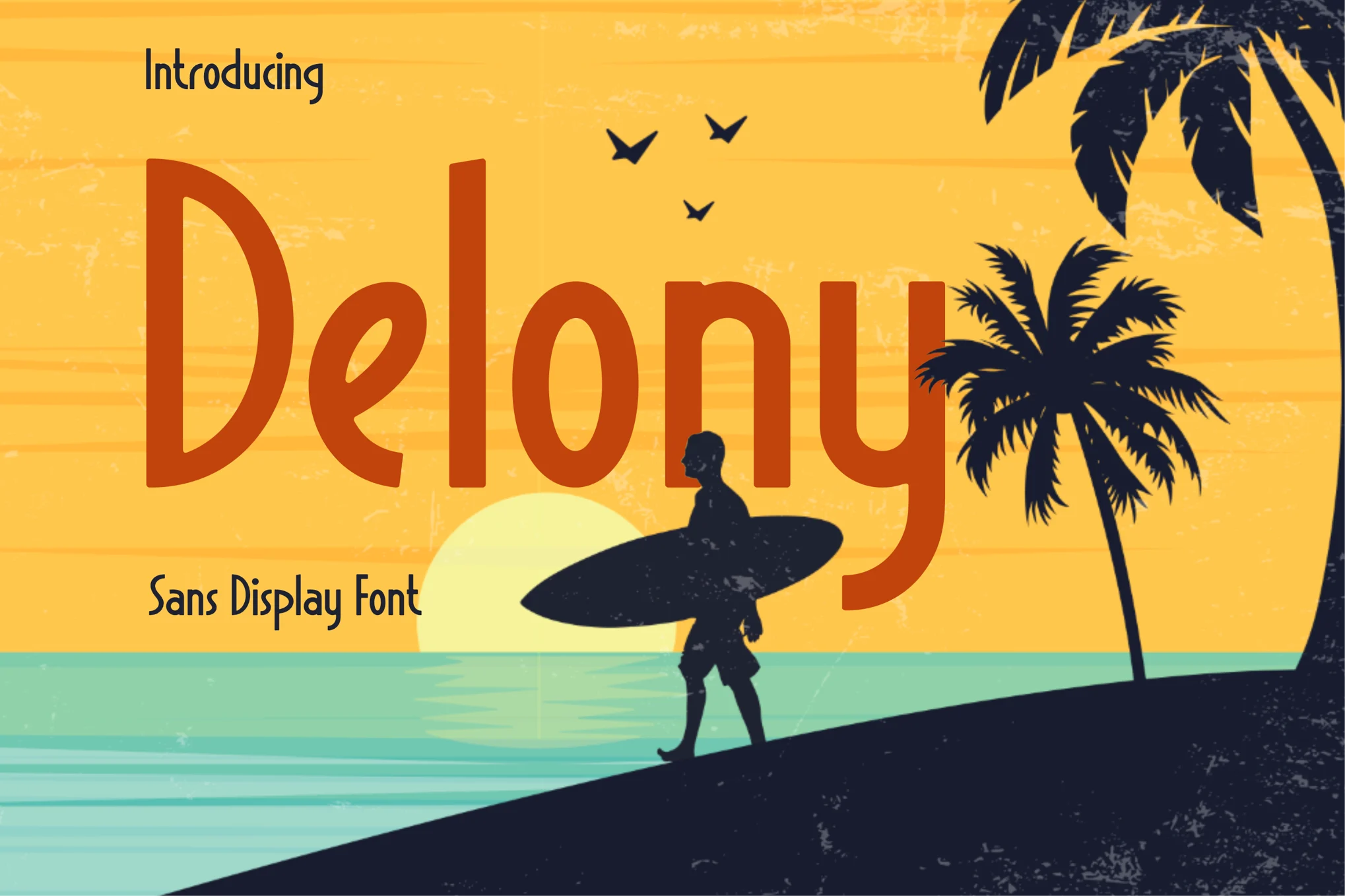 Delony – Sans Display Font font preview