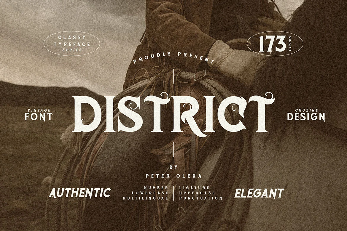 District Vintage Serif Font font preview
