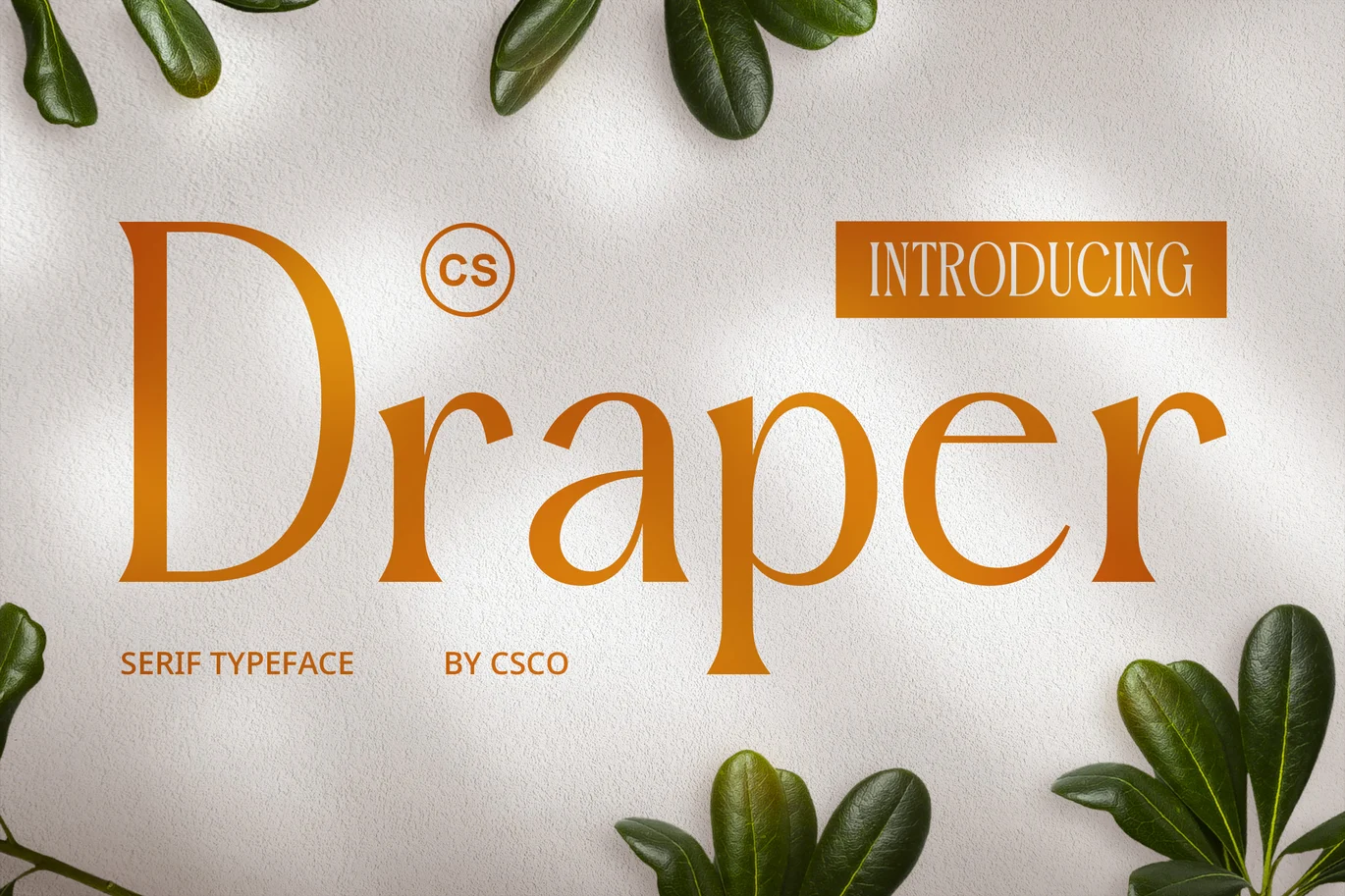 Draper – Elegant Font font preview